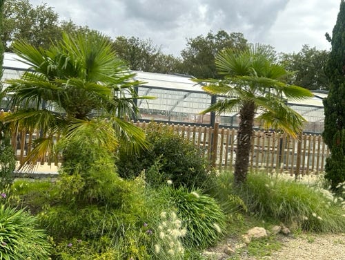 Vidéo piscine vue en extérieur